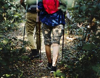 Access to 6.2 Mile archer braid trail